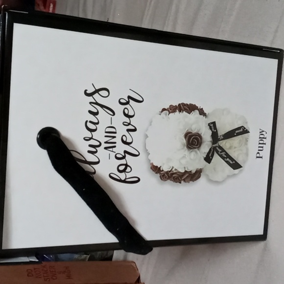 Always And Forever Puppy Just For You Rose Keepsake With Box and Repair Kit - Picture 2 of 3